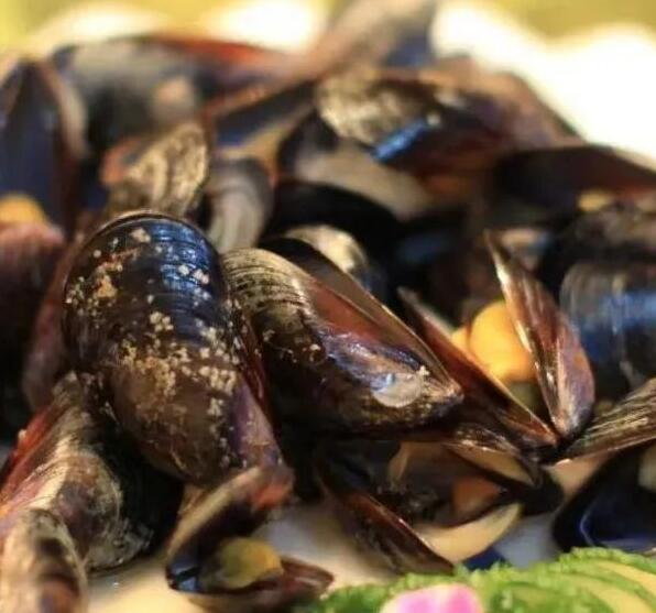 貽貝(蝦夷貝)進(jìn)口報關(guān)商品編碼歸類(貽貝到底應(yīng)該怎么申報歸類)