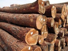 木材進(jìn)口報(bào)關(guān)需要哪些手續(xù)資料？